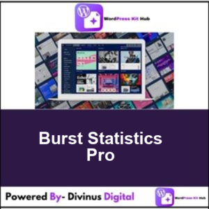 Burst Statistics Pro