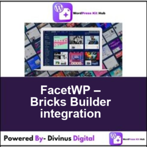 FacetWP – Bricks Builder integration