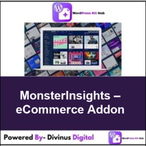 MonsterInsights – eCommerce Addon