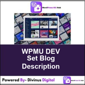 WPMU DEV Set Blog Description